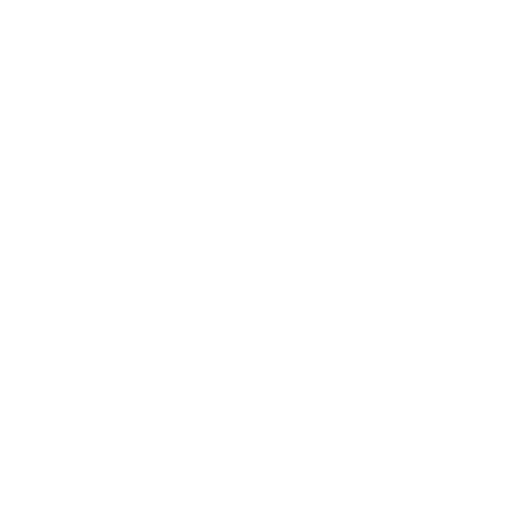 Fusion Virtual Airline Alliance