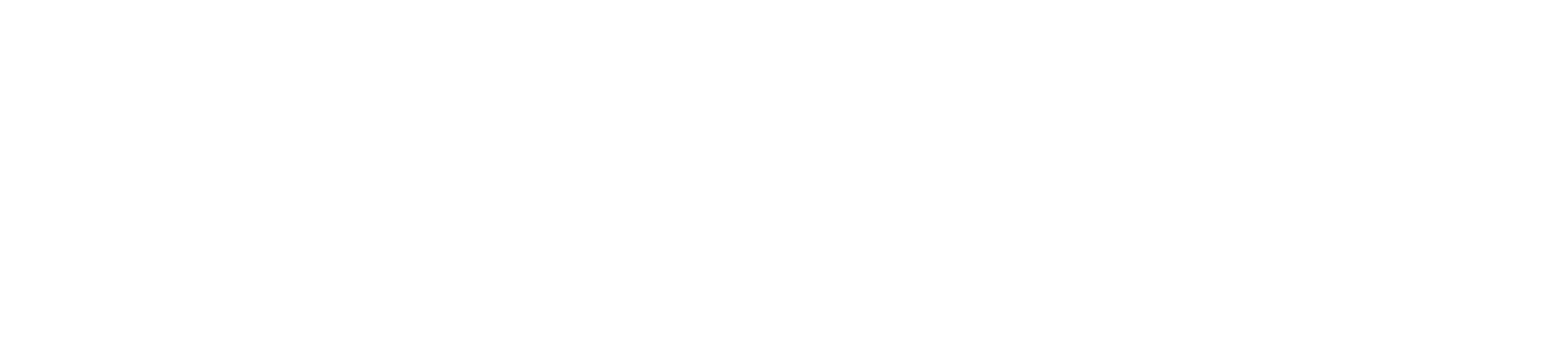 LH Virtual