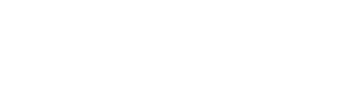 vSAS